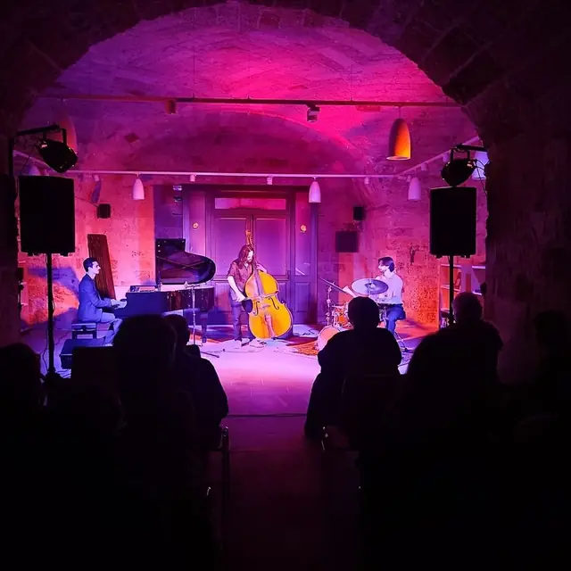 Concerto in una sala con volta in pietra illuminata di rosa